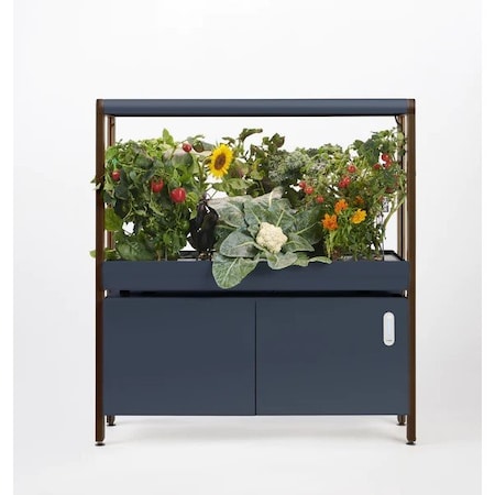 Rise Gardens Single New Rise Garden charcoal RG200003